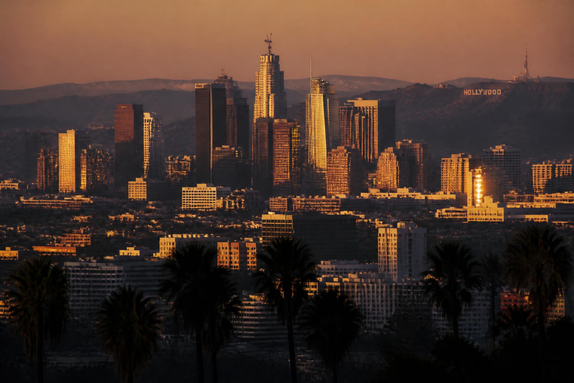 Los Angeles skyline at golden hour with palm trees and Hollywood sign